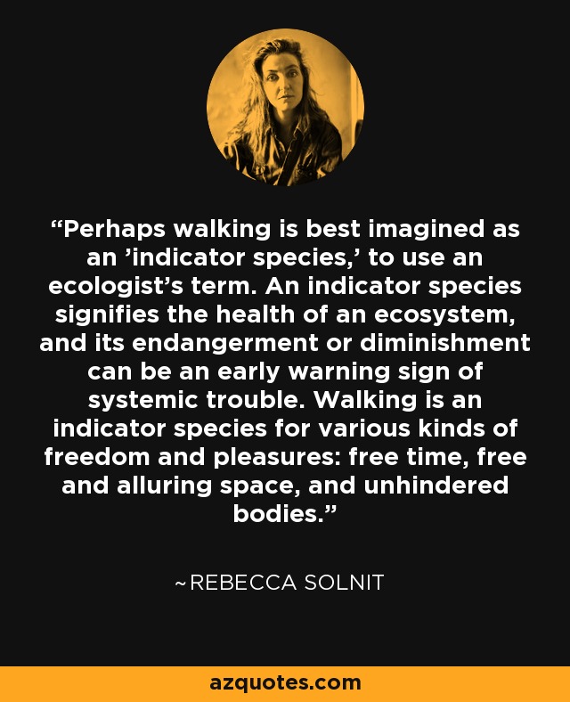 Perhaps walking is best imagined as an 'indicator species,' to use an ecologist's term. An indicator species signifies the health of an ecosystem, and its endangerment or diminishment can be an early warning sign of systemic trouble. Walking is an indicator species for various kinds of freedom and pleasures: free time, free and alluring space, and unhindered bodies. - Rebecca Solnit