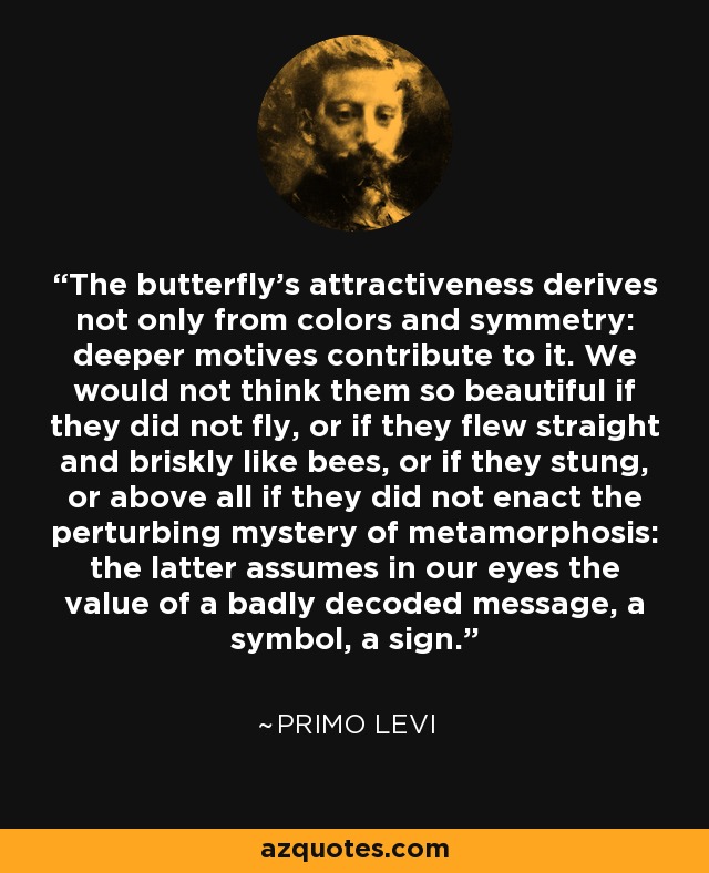 The butterfly's attractiveness derives not only from colors and symmetry: deeper motives contribute to it. We would not think them so beautiful if they did not fly, or if they flew straight and briskly like bees, or if they stung, or above all if they did not enact the perturbing mystery of metamorphosis: the latter assumes in our eyes the value of a badly decoded message, a symbol, a sign. - Primo Levi