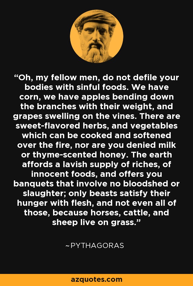 Oh, my fellow men, do not defile your bodies with sinful foods. We have corn, we have apples bending down the branches with their weight, and grapes swelling on the vines. There are sweet-flavored herbs, and vegetables which can be cooked and softened over the fire, nor are you denied milk or thyme-scented honey. The earth affords a lavish supply of riches, of innocent foods, and offers you banquets that involve no bloodshed or slaughter; only beasts satisfy their hunger with flesh, and not even all of those, because horses, cattle, and sheep live on grass. - Pythagoras