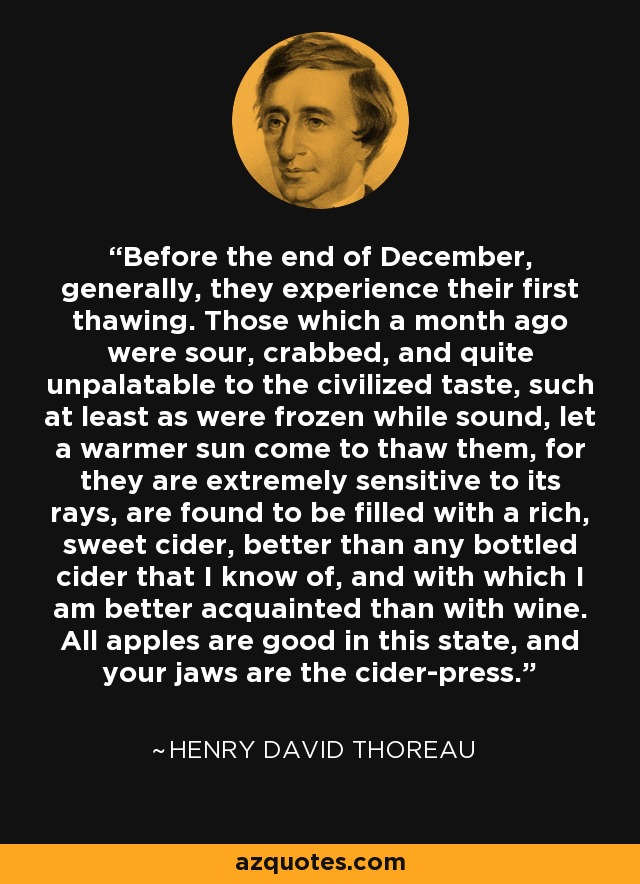 Before the end of December, generally, they experience their first thawing. Those which a month ago were sour, crabbed, and quite unpalatable to the civilized taste, such at least as were frozen while sound, let a warmer sun come to thaw them, for they are extremely sensitive to its rays, are found to be filled with a rich, sweet cider, better than any bottled cider that I know of, and with which I am better acquainted than with wine. All apples are good in this state, and your jaws are the cider-press. - Henry David Thoreau