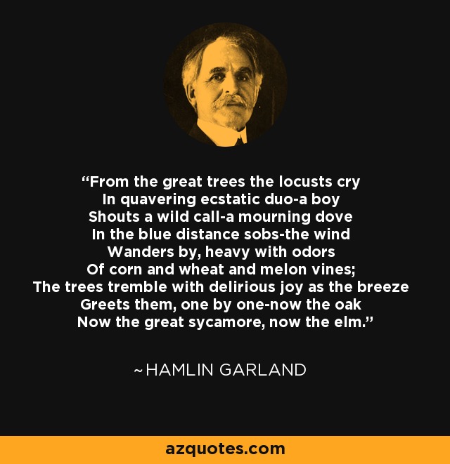 From the great trees the locusts cry In quavering ecstatic duo-a boy Shouts a wild call-a mourning dove In the blue distance sobs-the wind Wanders by, heavy with odors Of corn and wheat and melon vines; The trees tremble with delirious joy as the breeze Greets them, one by one-now the oak Now the great sycamore, now the elm. - Hamlin Garland