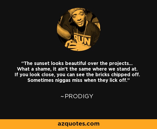 The sunset looks beautiful over the projects... What a shame, it ain't the same where we stand at. If you look close, you can see the bricks chipped off. Sometimes niggas miss when they lick off. - Prodigy