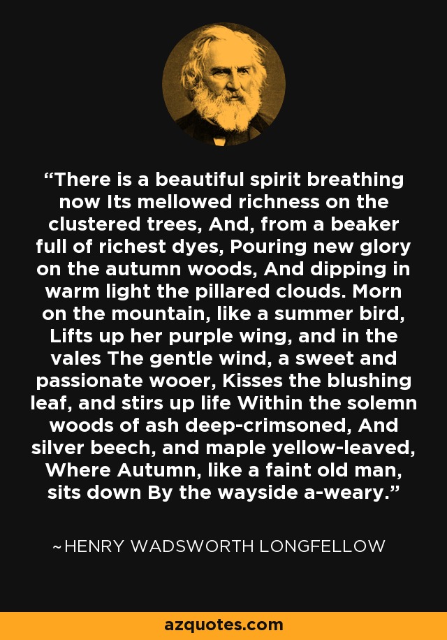 There is a beautiful spirit breathing now Its mellowed richness on the clustered trees, And, from a beaker full of richest dyes, Pouring new glory on the autumn woods, And dipping in warm light the pillared clouds. Morn on the mountain, like a summer bird, Lifts up her purple wing, and in the vales The gentle wind, a sweet and passionate wooer, Kisses the blushing leaf, and stirs up life Within the solemn woods of ash deep-crimsoned, And silver beech, and maple yellow-leaved, Where Autumn, like a faint old man, sits down By the wayside a-weary. - Henry Wadsworth Longfellow