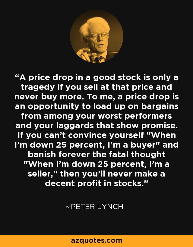A price drop in a good stock is only a tragedy if you sell at that price and never buy more. To me, a price drop is an opportunity to load up on bargains from among your worst performers and your laggards that show promise. If you can't convince yourself 