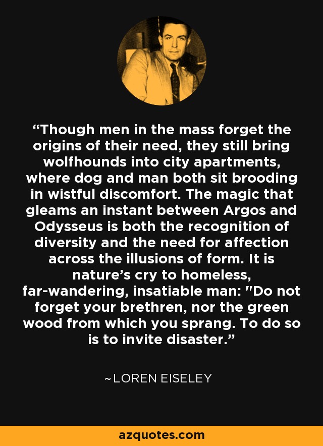 Though men in the mass forget the origins of their need, they still bring wolfhounds into city apartments, where dog and man both sit brooding in wistful discomfort. The magic that gleams an instant between Argos and Odysseus is both the recognition of diversity and the need for affection across the illusions of form. It is nature's cry to homeless, far-wandering, insatiable man: 