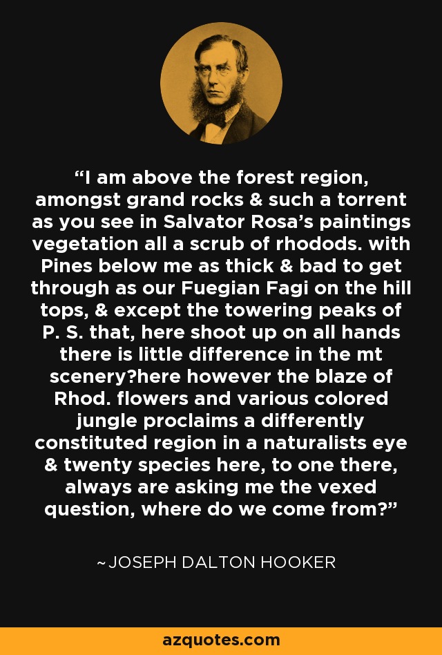I am above the forest region, amongst grand rocks & such a torrent as you see in Salvator Rosa's paintings vegetation all a scrub of rhodods. with Pines below me as thick & bad to get through as our Fuegian Fagi on the hill tops, & except the towering peaks of P. S. that, here shoot up on all hands there is little difference in the mt sceneryhere however the blaze of Rhod. flowers and various colored jungle proclaims a differently constituted region in a naturalists eye & twenty species here, to one there, always are asking me the vexed question, where do we come from? - Joseph Dalton Hooker