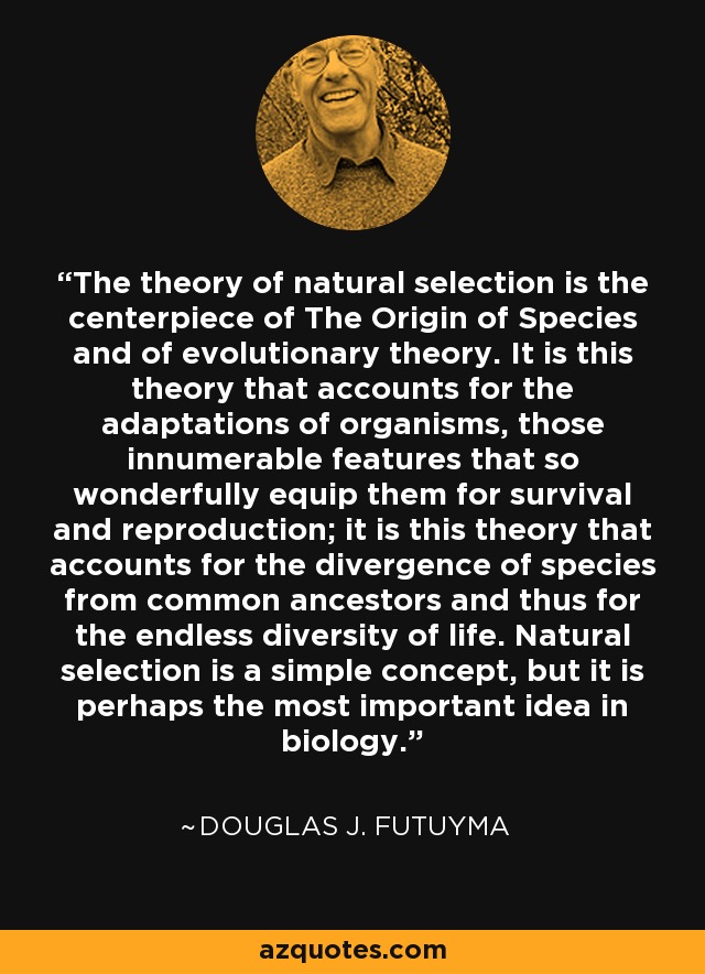The theory of natural selection is the centerpiece of The Origin of Species and of evolutionary theory. It is this theory that accounts for the adaptations of organisms, those innumerable features that so wonderfully equip them for survival and reproduction; it is this theory that accounts for the divergence of species from common ancestors and thus for the endless diversity of life. Natural selection is a simple concept, but it is perhaps the most important idea in biology. - Douglas J. Futuyma