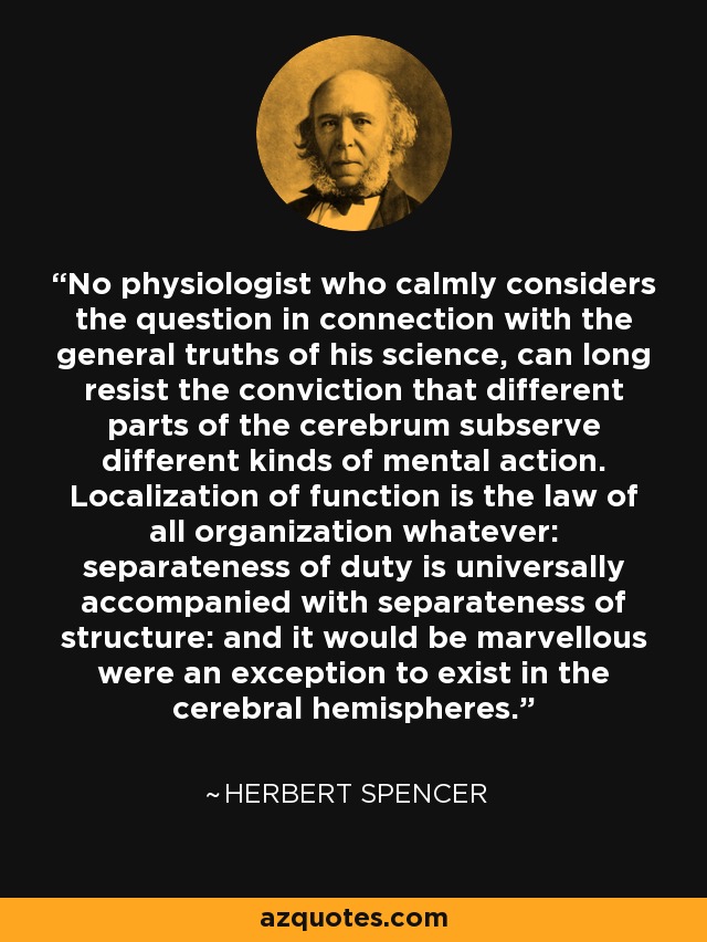 No physiologist who calmly considers the question in connection with the general truths of his science, can long resist the conviction that different parts of the cerebrum subserve different kinds of mental action. Localization of function is the law of all organization whatever: separateness of duty is universally accompanied with separateness of structure: and it would be marvellous were an exception to exist in the cerebral hemispheres. - Herbert Spencer