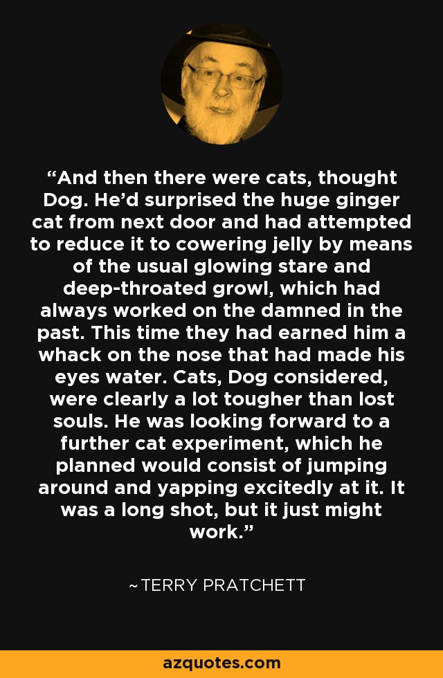 And then there were cats, thought Dog. He'd surprised the huge ginger cat from next door and had attempted to reduce it to cowering jelly by means of the usual glowing stare and deep-throated growl, which had always worked on the damned in the past. This time they had earned him a whack on the nose that had made his eyes water. Cats, Dog considered, were clearly a lot tougher than lost souls. He was looking forward to a further cat experiment, which he planned would consist of jumping around and yapping excitedly at it. It was a long shot, but it just might work. - Terry Pratchett