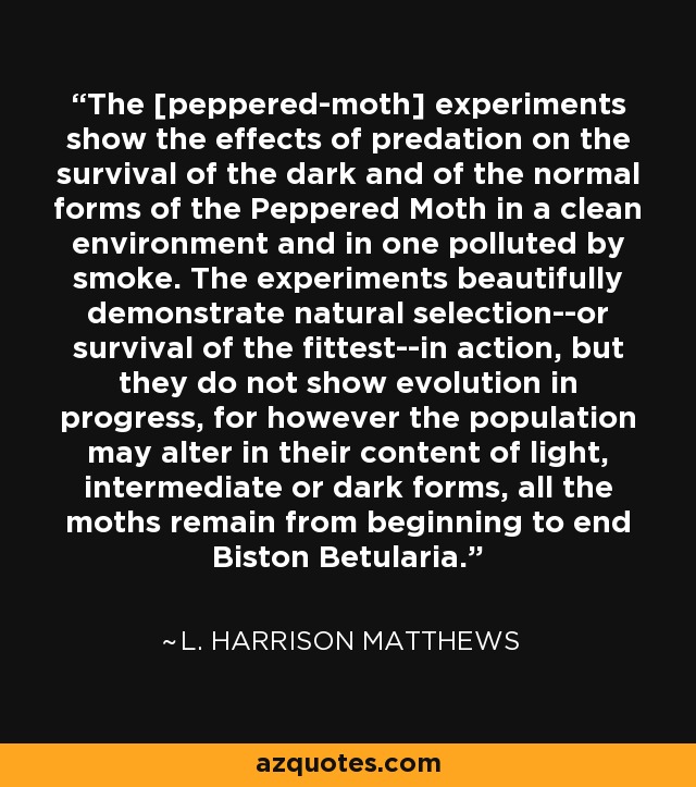 The [peppered-moth] experiments show the effects of predation on the survival of the dark and of the normal forms of the Peppered Moth in a clean environment and in one polluted by smoke. The experiments beautifully demonstrate natural selection--or survival of the fittest--in action, but they do not show evolution in progress, for however the population may alter in their content of light, intermediate or dark forms, all the moths remain from beginning to end Biston Betularia. - L. Harrison Matthews