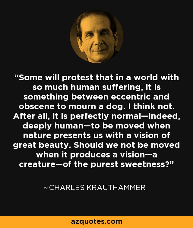 Some will protest that in a world with so much human suffering, it is something between eccentric and obscene to mourn a dog. I think not. After all, it is perfectly normal—indeed, deeply human—to be moved when nature presents us with a vision of great beauty. Should we not be moved when it produces a vision—a creature—of the purest sweetness? - Charles Krauthammer