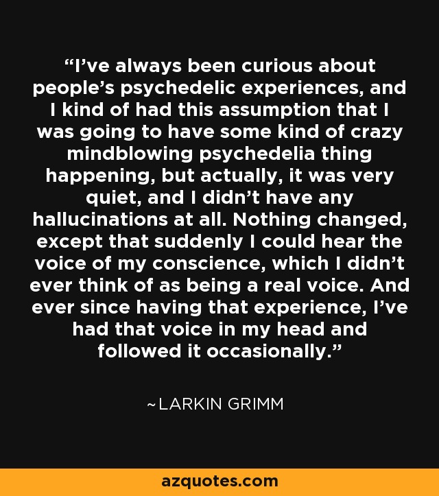 I've always been curious about people's psychedelic experiences, and I kind of had this assumption that I was going to have some kind of crazy mindblowing psychedelia thing happening, but actually, it was very quiet, and I didn't have any hallucinations at all. Nothing changed, except that suddenly I could hear the voice of my conscience, which I didn't ever think of as being a real voice. And ever since having that experience, I've had that voice in my head and followed it occasionally. - Larkin Grimm