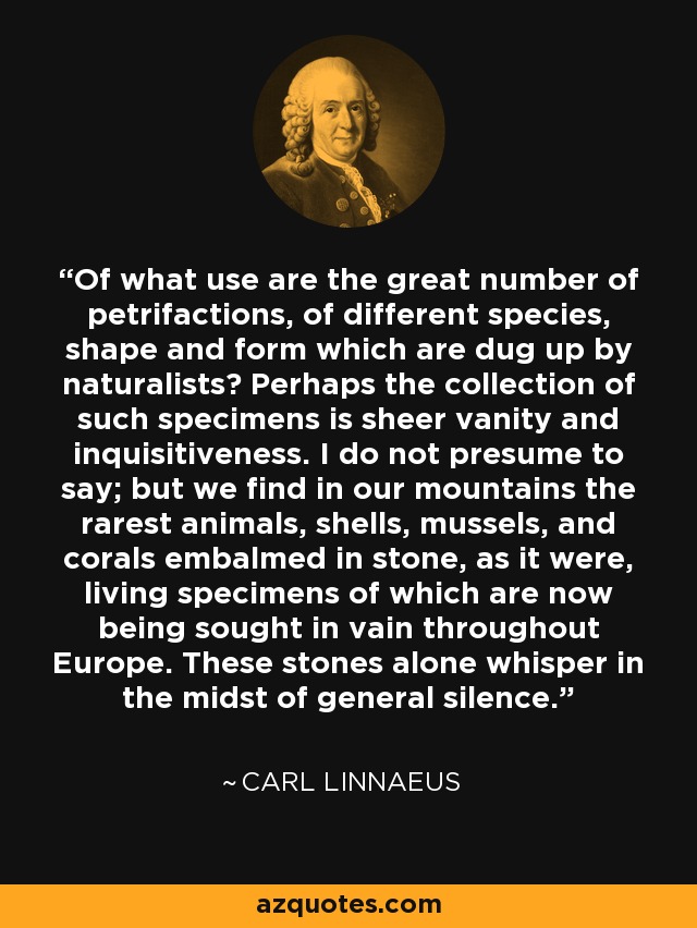 Of what use are the great number of petrifactions, of different species, shape and form which are dug up by naturalists? Perhaps the collection of such specimens is sheer vanity and inquisitiveness. I do not presume to say; but we find in our mountains the rarest animals, shells, mussels, and corals embalmed in stone, as it were, living specimens of which are now being sought in vain throughout Europe. These stones alone whisper in the midst of general silence. - Carl Linnaeus