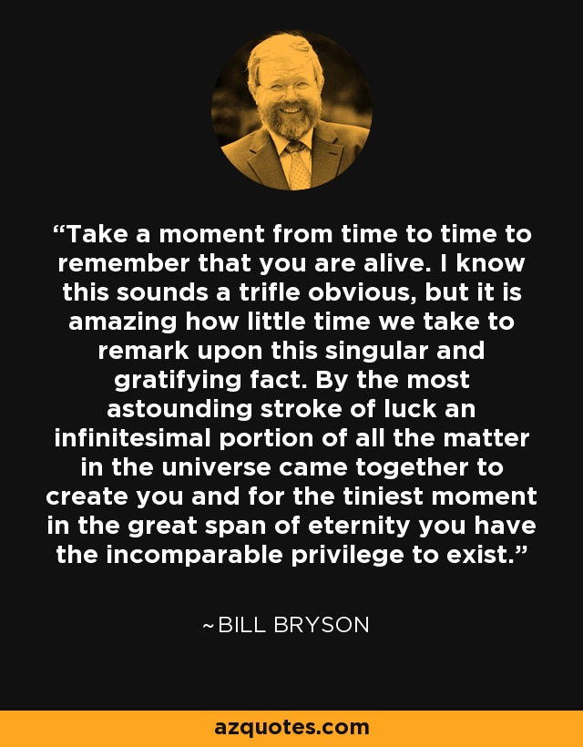 Take a moment from time to time to remember that you are alive. I know this sounds a trifle obvious, but it is amazing how little time we take to remark upon this singular and gratifying fact. By the most astounding stroke of luck an infinitesimal portion of all the matter in the universe came together to create you and for the tiniest moment in the great span of eternity you have the incomparable privilege to exist. - Bill Bryson