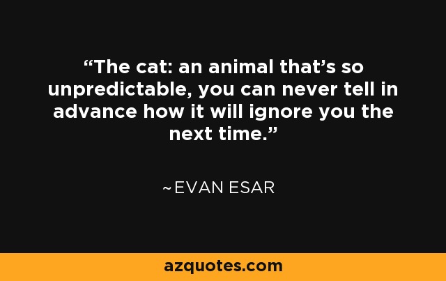 The cat: an animal that's so unpredictable, you can never tell in advance how it will ignore you the next time. - Evan Esar