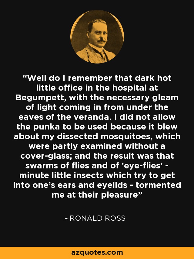 Well do I remember that dark hot little office in the hospital at Begumpett, with the necessary gleam of light coming in from under the eaves of the veranda. I did not allow the punka to be used because it blew about my dissected mosquitoes, which were partly examined without a cover-glass; and the result was that swarms of flies and of 'eye-flies' - minute little insects which try to get into one's ears and eyelids - tormented me at their pleasure - Ronald Ross