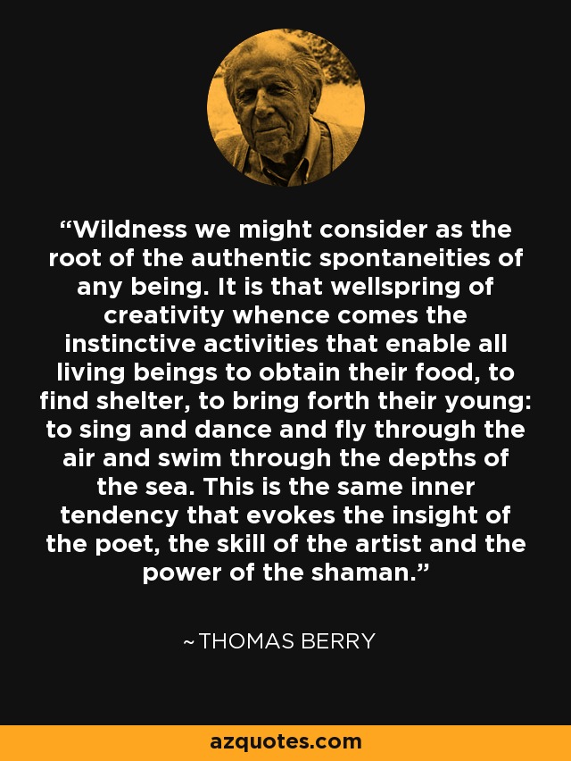 Wildness we might consider as the root of the authentic spontaneities of any being. It is that wellspring of creativity whence comes the instinctive activities that enable all living beings to obtain their food, to find shelter, to bring forth their young: to sing and dance and fly through the air and swim through the depths of the sea. This is the same inner tendency that evokes the insight of the poet, the skill of the artist and the power of the shaman. - Thomas Berry