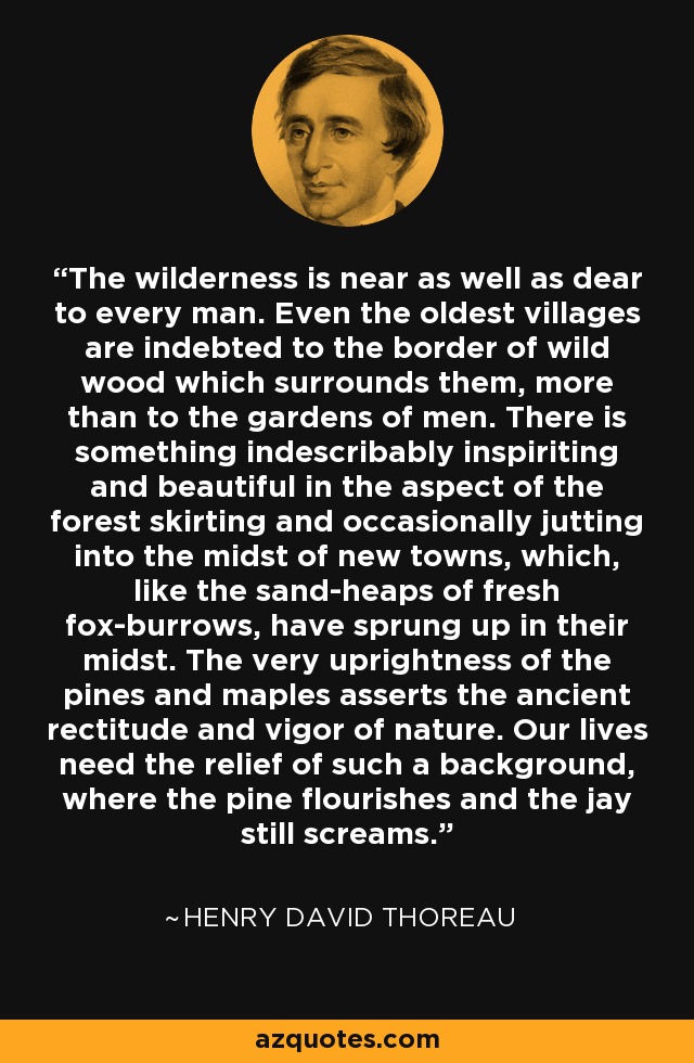 The wilderness is near as well as dear to every man. Even the oldest villages are indebted to the border of wild wood which surrounds them, more than to the gardens of men. There is something indescribably inspiriting and beautiful in the aspect of the forest skirting and occasionally jutting into the midst of new towns, which, like the sand-heaps of fresh fox-burrows, have sprung up in their midst. The very uprightness of the pines and maples asserts the ancient rectitude and vigor of nature. Our lives need the relief of such a background, where the pine flourishes and the jay still screams. - Henry David Thoreau