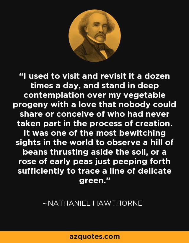 I used to visit and revisit it a dozen times a day, and stand in deep contemplation over my vegetable progeny with a love that nobody could share or conceive of who had never taken part in the process of creation. It was one of the most bewitching sights in the world to observe a hill of beans thrusting aside the soil, or a rose of early peas just peeping forth sufficiently to trace a line of delicate green. - Nathaniel Hawthorne