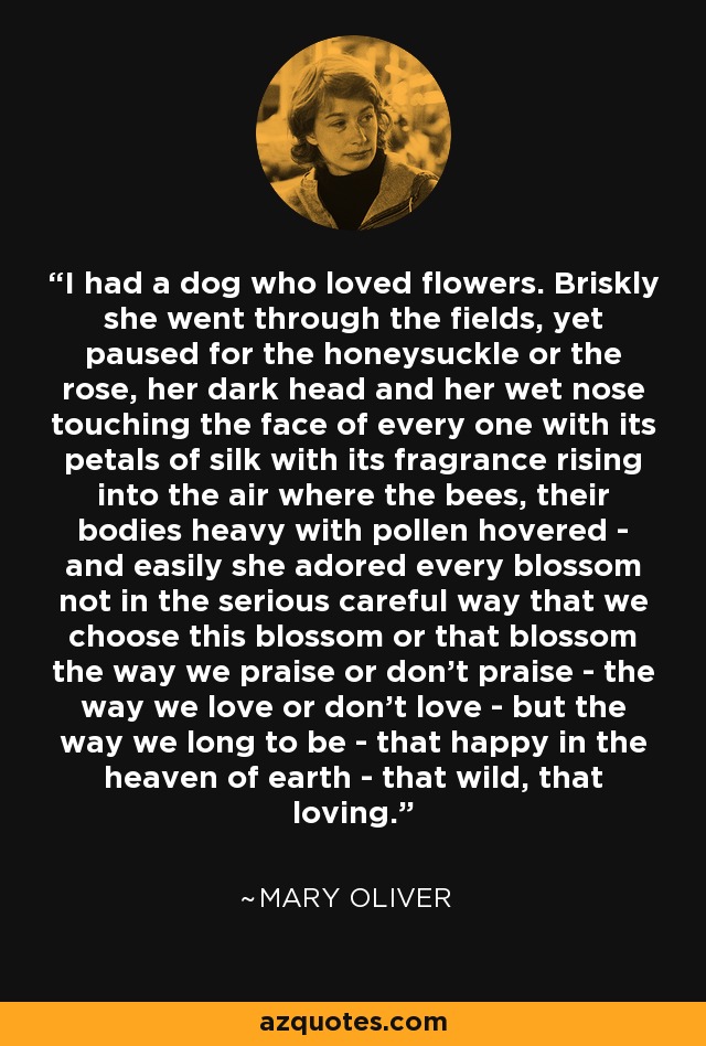 I had a dog who loved flowers. Briskly she went through the fields, yet paused for the honeysuckle or the rose, her dark head and her wet nose touching the face of every one with its petals of silk with its fragrance rising into the air where the bees, their bodies heavy with pollen hovered - and easily she adored every blossom not in the serious careful way that we choose this blossom or that blossom the way we praise or don't praise - the way we love or don't love - but the way we long to be - that happy in the heaven of earth - that wild, that loving. - Mary Oliver