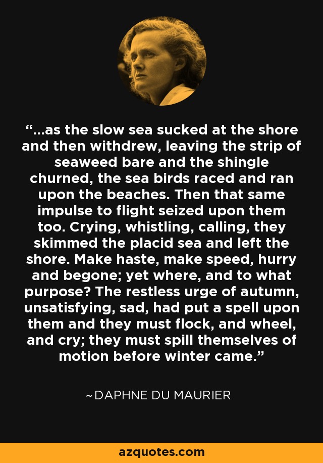 ...as the slow sea sucked at the shore and then withdrew, leaving the strip of seaweed bare and the shingle churned, the sea birds raced and ran upon the beaches. Then that same impulse to flight seized upon them too. Crying, whistling, calling, they skimmed the placid sea and left the shore. Make haste, make speed, hurry and begone; yet where, and to what purpose? The restless urge of autumn, unsatisfying, sad, had put a spell upon them and they must flock, and wheel, and cry; they must spill themselves of motion before winter came. - Daphne du Maurier