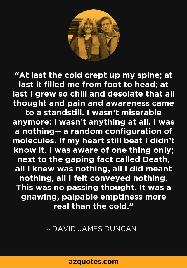 At last the cold crept up my spine; at last it filled me from foot to head; at last I grew so chill and desolate that all thought and pain and awareness came to a standstill. I wasn't miserable anymore: I wasn't anything at all. I was a nothing-- a random configuration of molecules. If my heart still beat I didn't know it. I was aware of one thing only; next to the gaping fact called Death, all I knew was nothing, all I did meant nothing, all I felt conveyed nothing. This was no passing thought. It was a gnawing, palpable emptiness more real than the cold. - David James Duncan