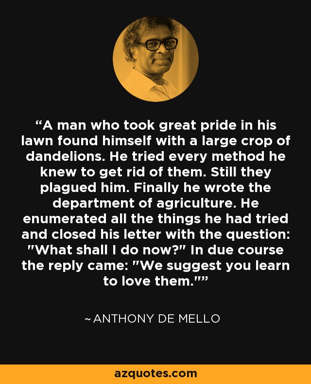 A man who took great pride in his lawn found himself with a large crop of dandelions. He tried every method he knew to get rid of them. Still they plagued him. Finally he wrote the department of agriculture. He enumerated all the things he had tried and closed his letter with the question: 