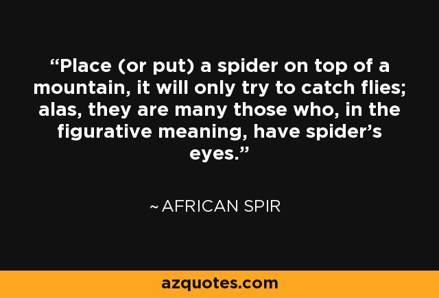 Place (or put) a spider on top of a mountain, it will only try to catch flies; alas, they are many those who, in the figurative meaning, have spider's eyes. - African Spir