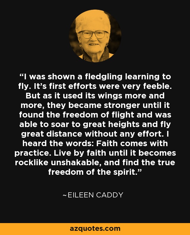 I was shown a fledgling learning to fly. It's first efforts were very feeble. But as it used its wings more and more, they became stronger until it found the freedom of flight and was able to soar to great heights and fly great distance without any effort. I heard the words: Faith comes with practice. Live by faith until it becomes rocklike unshakable, and find the true freedom of the spirit. - Eileen Caddy