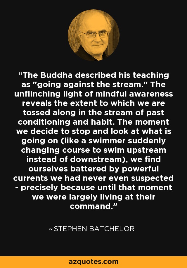 The Buddha described his teaching as 