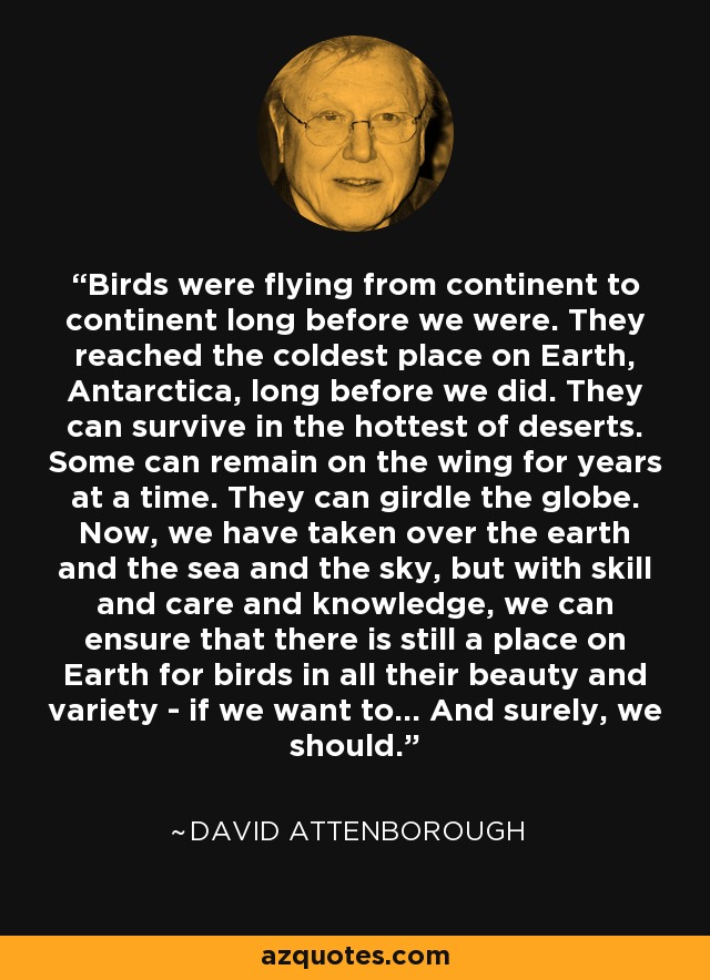 Birds were flying from continent to continent long before we were. They reached the coldest place on Earth, Antarctica, long before we did. They can survive in the hottest of deserts. Some can remain on the wing for years at a time. They can girdle the globe. Now, we have taken over the earth and the sea and the sky, but with skill and care and knowledge, we can ensure that there is still a place on Earth for birds in all their beauty and variety - if we want to... And surely, we should. - David Attenborough