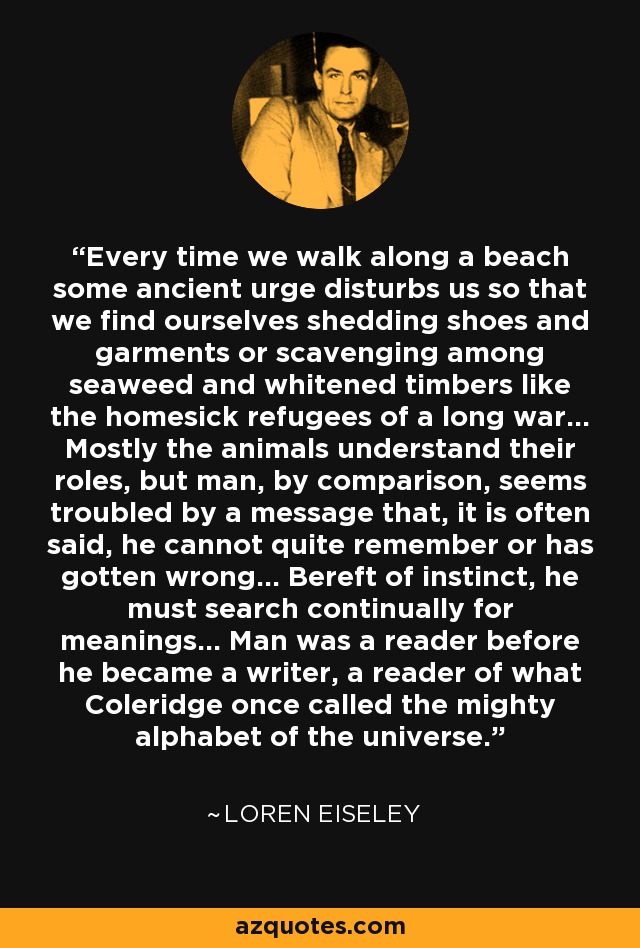 Every time we walk along a beach some ancient urge disturbs us so that we find ourselves shedding shoes and garments or scavenging among seaweed and whitened timbers like the homesick refugees of a long war... Mostly the animals understand their roles, but man, by comparison, seems troubled by a message that, it is often said, he cannot quite remember or has gotten wrong... Bereft of instinct, he must search continually for meanings... Man was a reader before he became a writer, a reader of what Coleridge once called the mighty alphabet of the universe. - Loren Eiseley