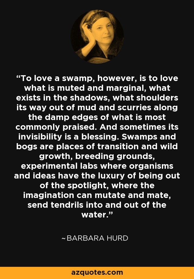 To love a swamp, however, is to love what is muted and marginal, what exists in the shadows, what shoulders its way out of mud and scurries along the damp edges of what is most commonly praised. And sometimes its invisibility is a blessing. Swamps and bogs are places of transition and wild growth, breeding grounds, experimental labs where organisms and ideas have the luxury of being out of the spotlight, where the imagination can mutate and mate, send tendrils into and out of the water. - Barbara Hurd