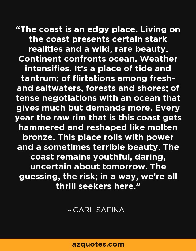 The coast is an edgy place. Living on the coast presents certain stark realities and a wild, rare beauty. Continent confronts ocean. Weather intensifies. It's a place of tide and tantrum; of flirtations among fresh- and saltwaters, forests and shores; of tense negotiations with an ocean that gives much but demands more. Every year the raw rim that is this coast gets hammered and reshaped like molten bronze. This place roils with power and a sometimes terrible beauty. The coast remains youthful, daring, uncertain about tomorrow. The guessing, the risk; in a way, we're all thrill seekers here. - Carl Safina