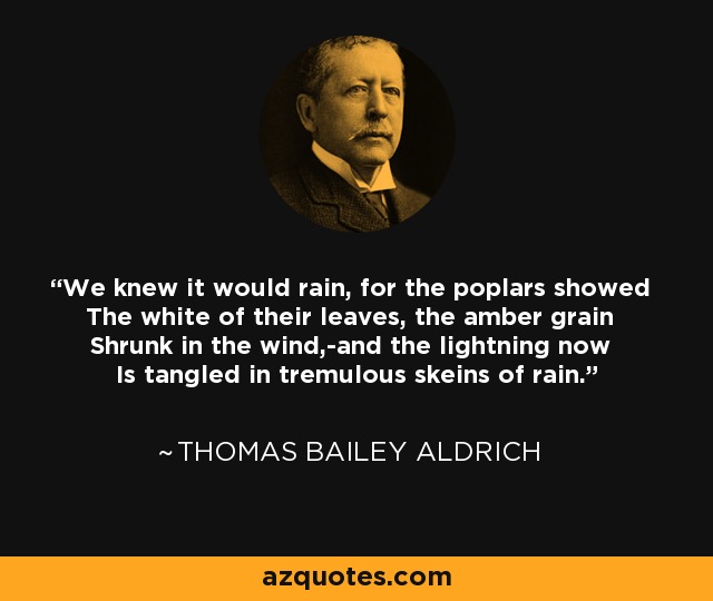 We knew it would rain, for the poplars showed The white of their leaves, the amber grain Shrunk in the wind,-and the lightning now Is tangled in tremulous skeins of rain. - Thomas Bailey Aldrich