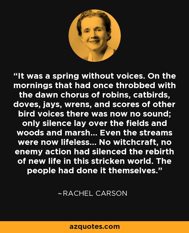 It was a spring without voices. On the mornings that had once throbbed with the dawn chorus of robins, catbirds, doves, jays, wrens, and scores of other bird voices there was now no sound; only silence lay over the fields and woods and marsh... Even the streams were now lifeless... No witchcraft, no enemy action had silenced the rebirth of new life in this stricken world. The people had done it themselves. - Rachel Carson