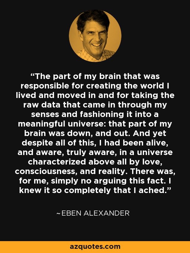The part of my brain that was responsible for creating the world I lived and moved in and for taking the raw data that came in through my senses and fashioning it into a meaningful universe: that part of my brain was down, and out. And yet despite all of this, I had been alive, and aware, truly aware, in a universe characterized above all by love, consciousness, and reality. There was, for me, simply no arguing this fact. I knew it so completely that I ached. - Eben Alexander