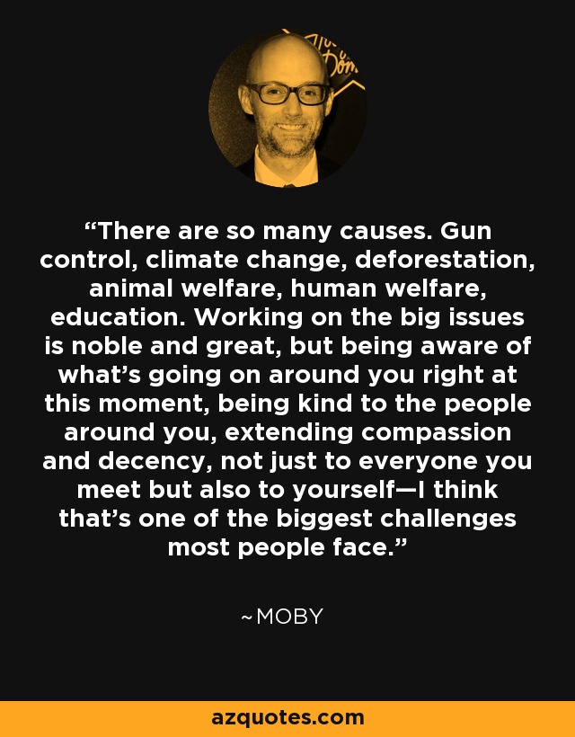 There are so many causes. Gun control, climate change, deforestation, animal welfare, human welfare, education. Working on the big issues is noble and great, but being aware of what’s going on around you right at this moment, being kind to the people around you, extending compassion and decency, not just to everyone you meet but also to yourself—I think that’s one of the biggest challenges most people face. - Moby