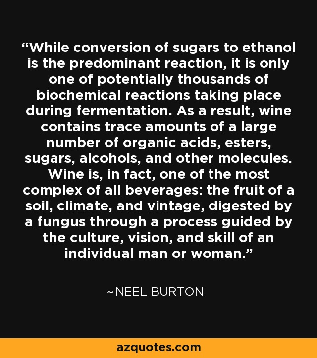 While conversion of sugars to ethanol is the predominant reaction, it is only one of potentially thousands of biochemical reactions taking place during fermentation. As a result, wine contains trace amounts of a large number of organic acids, esters, sugars, alcohols, and other molecules. Wine is, in fact, one of the most complex of all beverages: the fruit of a soil, climate, and vintage, digested by a fungus through a process guided by the culture, vision, and skill of an individual man or woman. - Neel Burton