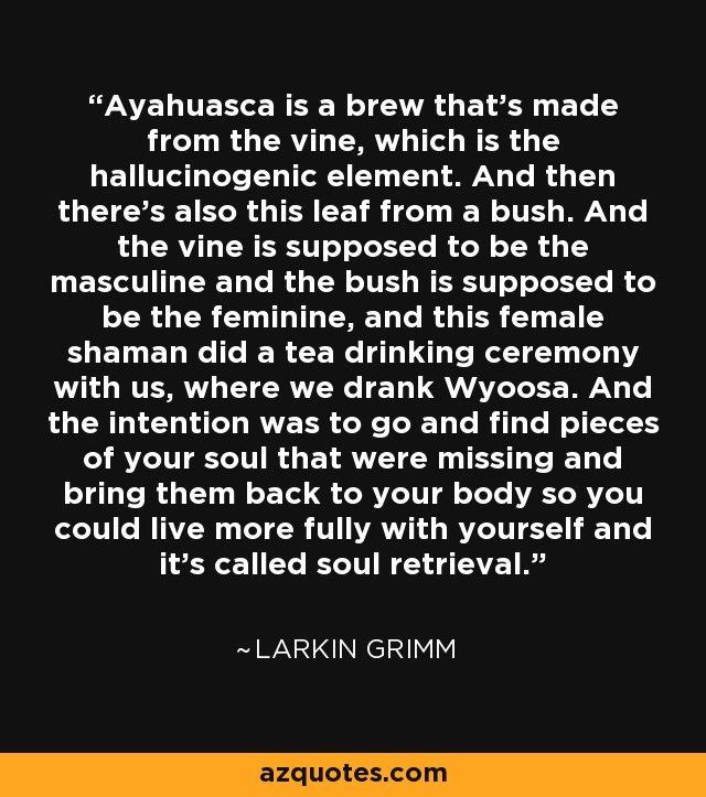 Ayahuasca is a brew that's made from the vine, which is the hallucinogenic element. And then there's also this leaf from a bush. And the vine is supposed to be the masculine and the bush is supposed to be the feminine, and this female shaman did a tea drinking ceremony with us, where we drank Wyoosa. And the intention was to go and find pieces of your soul that were missing and bring them back to your body so you could live more fully with yourself and it's called soul retrieval. - Larkin Grimm