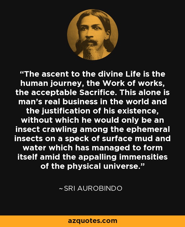 The ascent to the divine Life is the human journey, the Work of works, the acceptable Sacrifice. This alone is man's real business in the world and the justification of his existence, without which he would only be an insect crawling among the ephemeral insects on a speck of surface mud and water which has managed to form itself amid the appalling immensities of the physical universe. - Sri Aurobindo