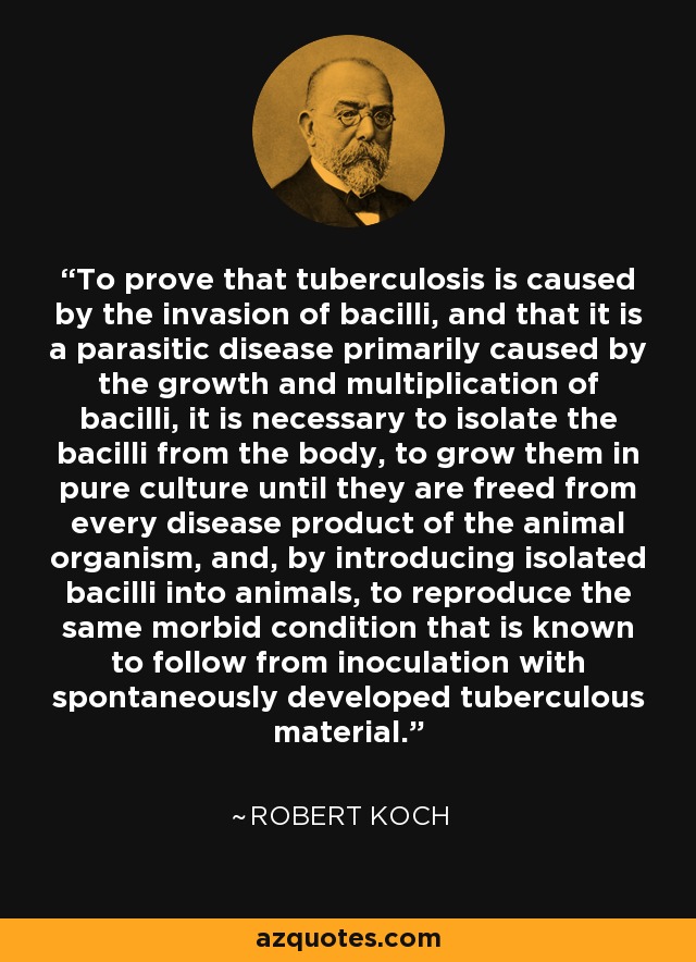 To prove that tuberculosis is caused by the invasion of bacilli, and that it is a parasitic disease primarily caused by the growth and multiplication of bacilli, it is necessary to isolate the bacilli from the body, to grow them in pure culture until they are freed from every disease product of the animal organism, and, by introducing isolated bacilli into animals, to reproduce the same morbid condition that is known to follow from inoculation with spontaneously developed tuberculous material. - Robert Koch