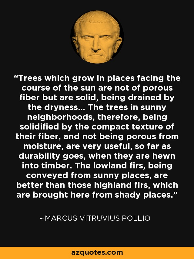 Trees which grow in places facing the course of the sun are not of porous fiber but are solid, being drained by the dryness... The trees in sunny neighborhoods, therefore, being solidified by the compact texture of their fiber, and not being porous from moisture, are very useful, so far as durability goes, when they are hewn into timber. The lowland firs, being conveyed from sunny places, are better than those highland firs, which are brought here from shady places. - Marcus Vitruvius Pollio