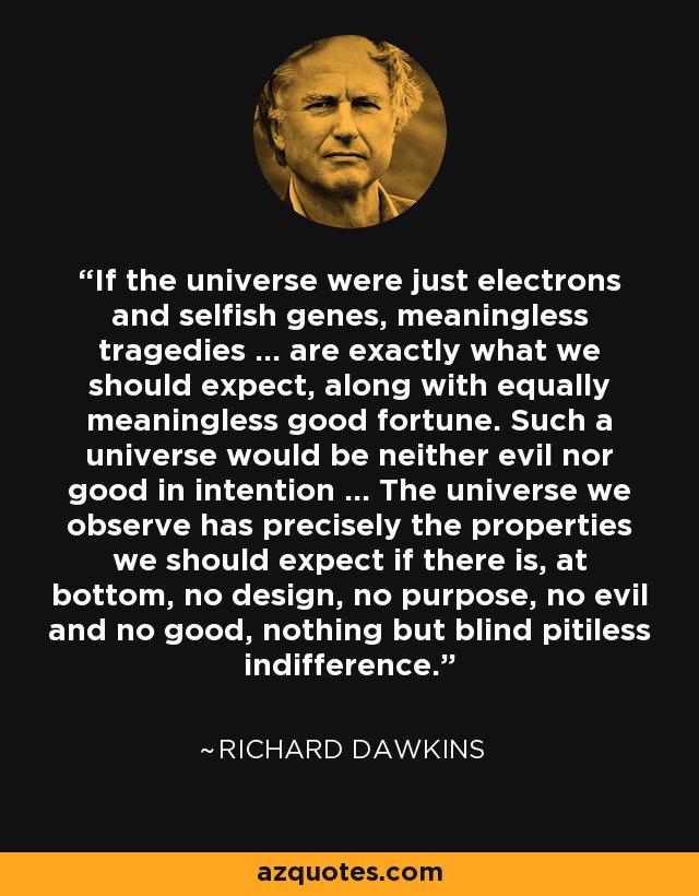 Richard Dawkins Quote: If The Universe Were Just Electrons And Selfish Genes, Meaningless...