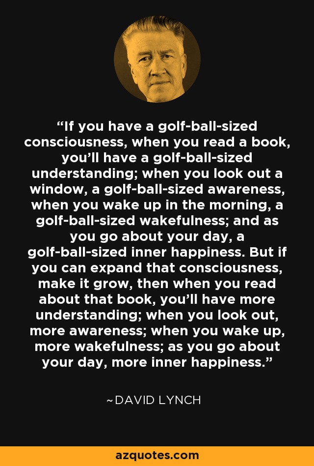 If you have a golf-ball-sized consciousness, when you read a book, you'll have a golf-ball-sized understanding; when you look out a window, a golf-ball-sized awareness, when you wake up in the morning, a golf-ball-sized wakefulness; and as you go about your day, a golf-ball-sized inner happiness. But if you can expand that consciousness, make it grow, then when you read about that book, you'll have more understanding; when you look out, more awareness; when you wake up, more wakefulness; as you go about your day, more inner happiness. - David Lynch