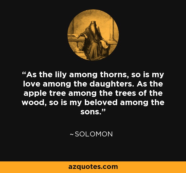 As the lily among thorns, so is my love among the daughters. As the apple tree among the trees of the wood, so is my beloved among the sons. - Solomon