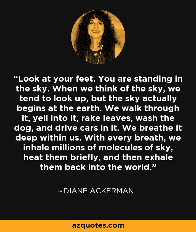 Look at your feet. You are standing in the sky. When we think of the sky, we tend to look up, but the sky actually begins at the earth. We walk through it, yell into it, rake leaves, wash the dog, and drive cars in it. We breathe it deep within us. With every breath, we inhale millions of molecules of sky, heat them briefly, and then exhale them back into the world. - Diane Ackerman