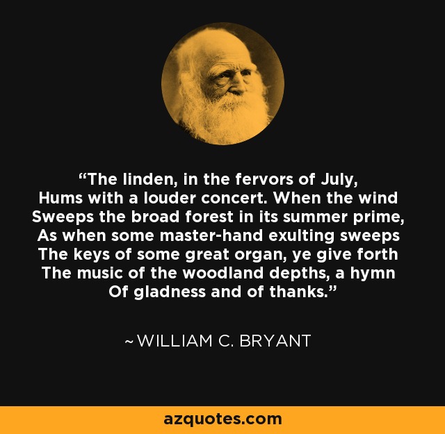 The linden, in the fervors of July, Hums with a louder concert. When the wind Sweeps the broad forest in its summer prime, As when some master-hand exulting sweeps The keys of some great organ, ye give forth The music of the woodland depths, a hymn Of gladness and of thanks. - William C. Bryant