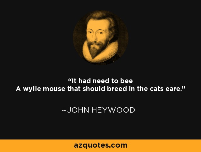 It had need to bee A wylie mouse that should breed in the cats eare. - John Heywood