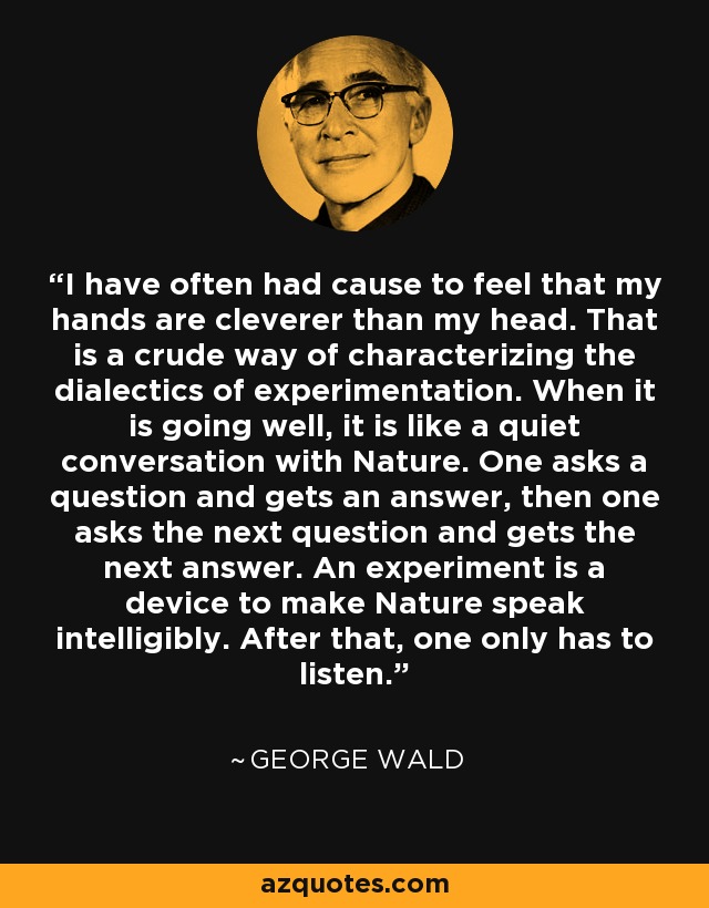 I have often had cause to feel that my hands are cleverer than my head. That is a crude way of characterizing the dialectics of experimentation. When it is going well, it is like a quiet conversation with Nature. One asks a question and gets an answer, then one asks the next question and gets the next answer. An experiment is a device to make Nature speak intelligibly. After that, one only has to listen. - George Wald I have often had cause to feel that my hands are cleverer than my head. That is a crude way of characterizing the dialectics of experimentation. When it is going well, it is like a quiet conversation with Nature. One asks a question and gets an answer, then one asks the next question and gets the next answer. An experiment is a device to make Nature speak intelligibly. After that, one only has to listen. - George Wald